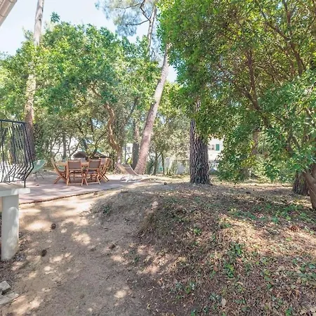 La Les Pins * Saint-Georges-de-Didonne