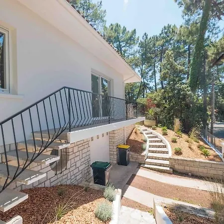 La Les Pins * Saint-Georges-de-Didonne