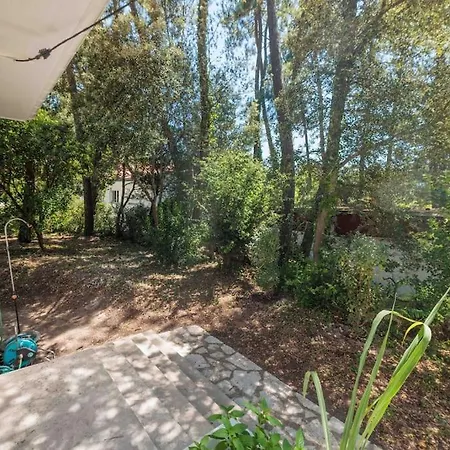 La Les Pins * Saint-Georges-de-Didonne